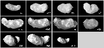 「はやぶさ」の撮影した小惑星イトカワの形状