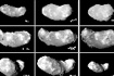 「はやぶさ」の撮影した小惑星イトカワの形状