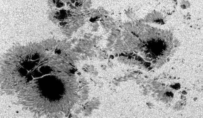 太陽観測衛星「ひので」が捉えた10月24日の連続光画像に広がる黒点