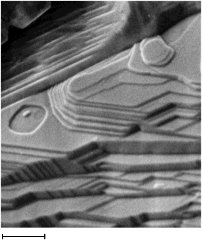 微粒子の表面に残されていたイトカワ母天体で形成された模様の写真
