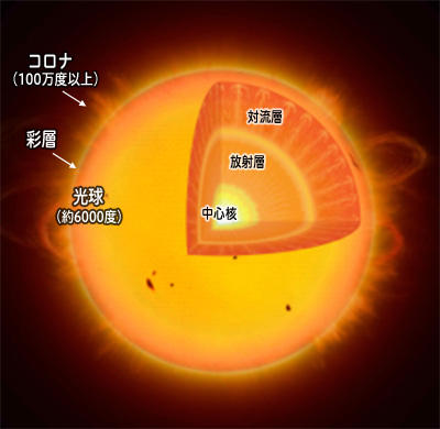 太陽内部の模式図