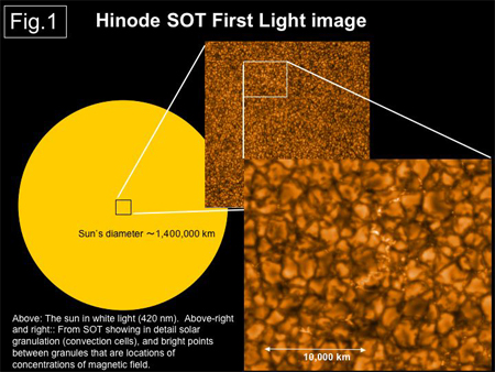 fig1