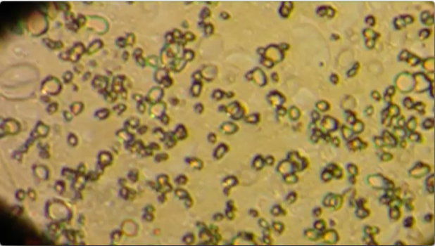 Bubbling of the UV-irradiated amorphous ice (H2O-CH3OH-NH3) mimicking interstellar ice at around -145C/-229F.