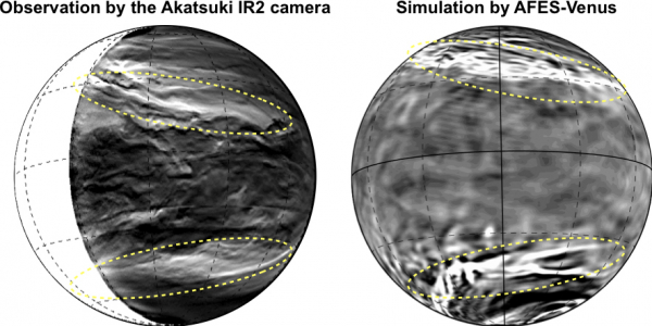 fig1