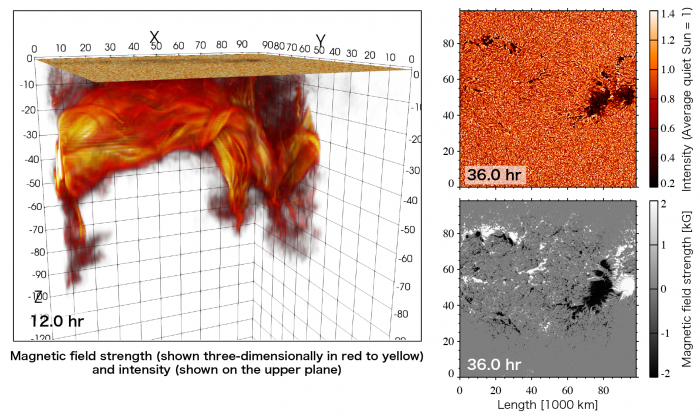 Fig.1