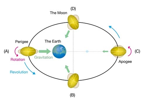 Pattern diagram of the Moon shape