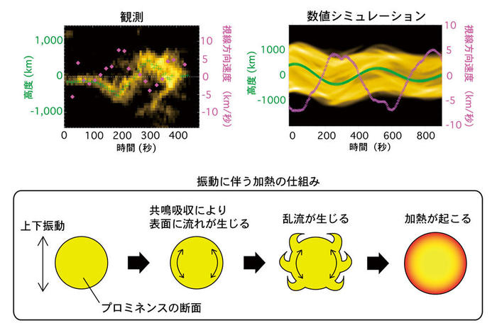 「ひので」と「IRIS」によるプロミネンス振動の観測結果と数値シミュレーション結果を並べた画像