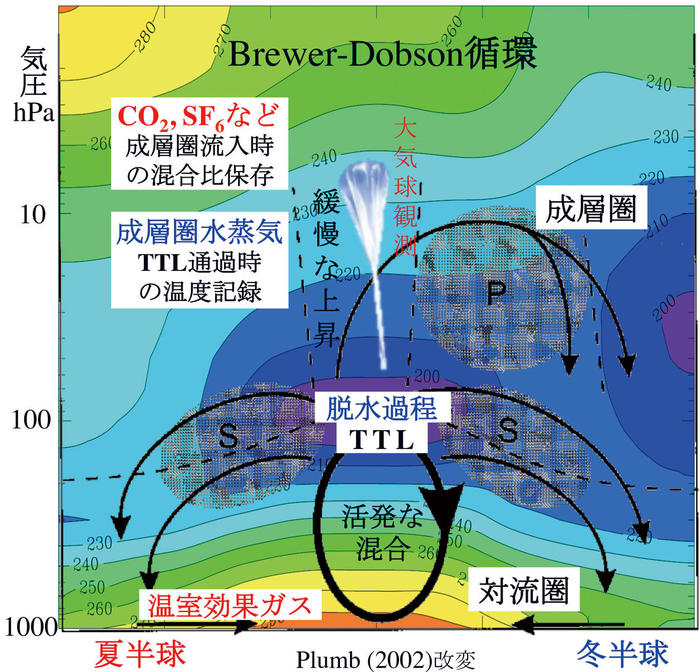 Brewer-Dobson循環の模式図と大気球実験の狙いを説明した概念図