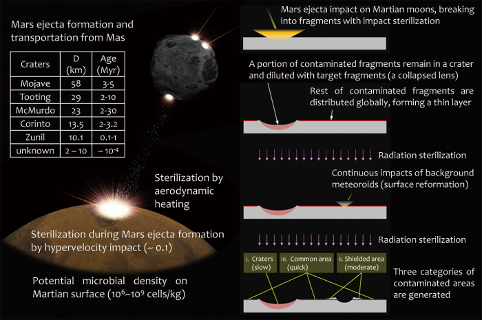 図2　火星から火星衛星への物質輸送（Fujita, K. et al., 2019; Kurosawa, K. et al., 2019）