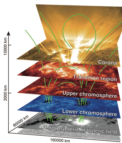 図1　磁気的に結合された太陽大気構造