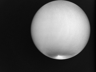 LIRで撮影した波長10 µmの金星画像(2016.04.15)の写真