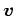 $\bm{v}$