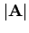 $\vert {\bf A} \vert$