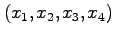 $(x_1,x_2,x_3,x_4)$