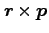$\bm{r}\times \bm{p}$