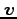 $\bm{v}$