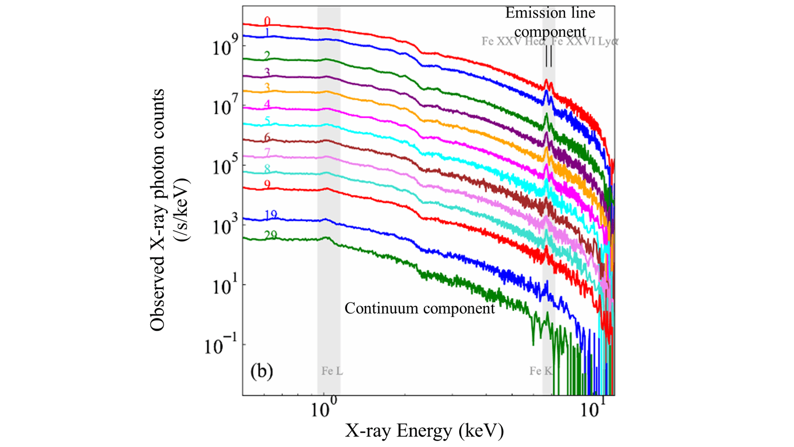 Fig.3