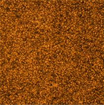 「ひので/SOLAR-B」可視光磁場望遠鏡SOTによる太陽画像