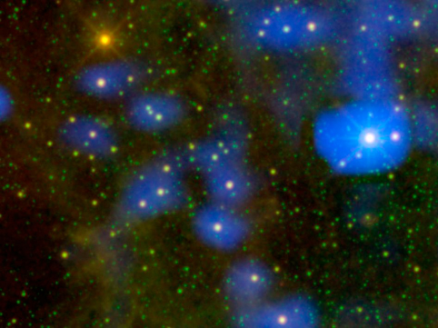 図1：左上のオレンジ色に輝く星が今回見つかった WISE J180956.27-330500.2