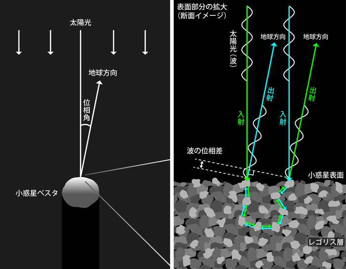 干渉性後方散乱を説明する模式図