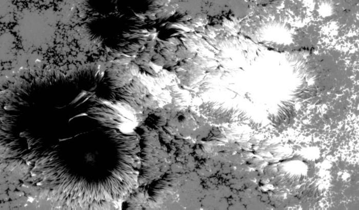 太陽観測衛星「ひので」が10月24日に捉えた黒点付近の磁場分布画像