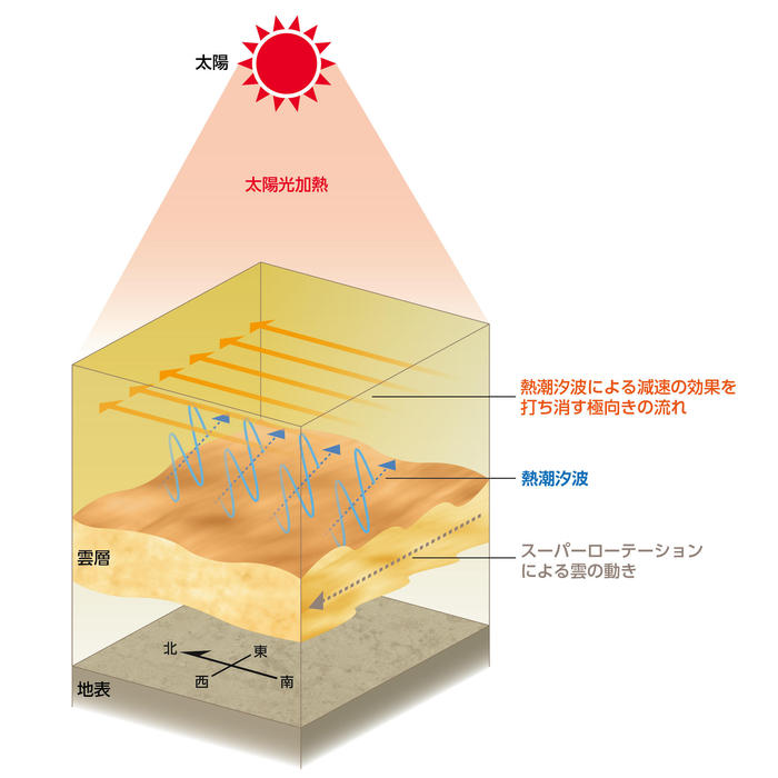 熱潮汐波により南北循環が励起されることを説明した模式図