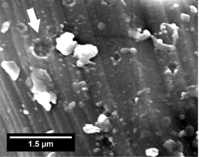 電子顕微鏡で撮影された小惑星イトカワ微粒子表面の微小クレーターの写真