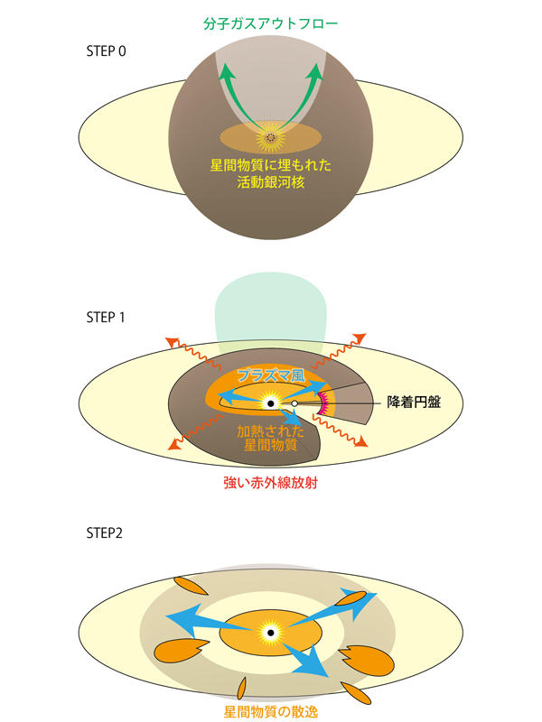 活動銀河核がクエーサーとして輝くまでの進化の予想図