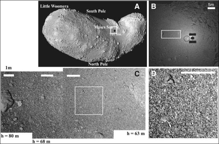 Fig3