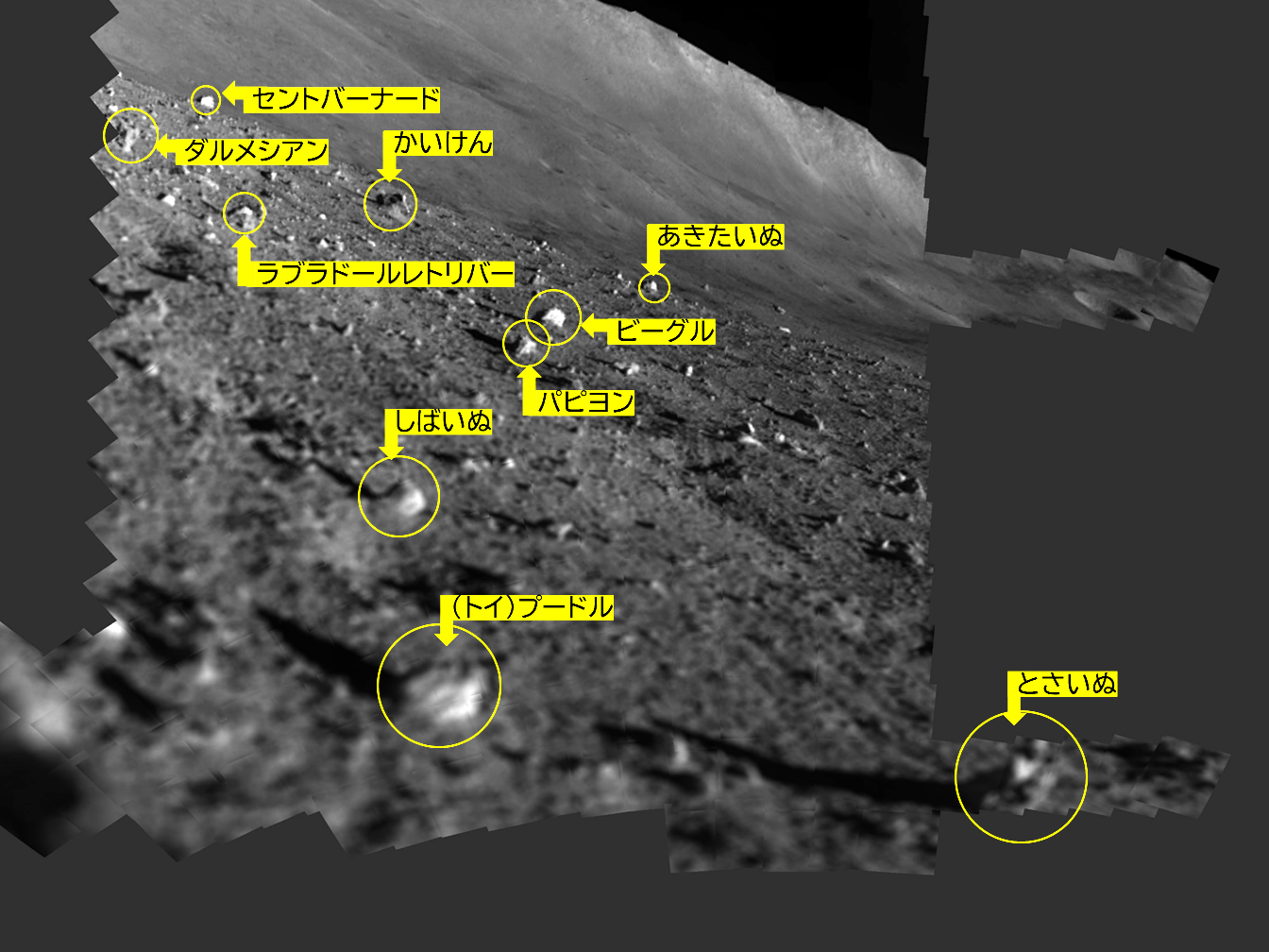 www.isas.jaxa.jp